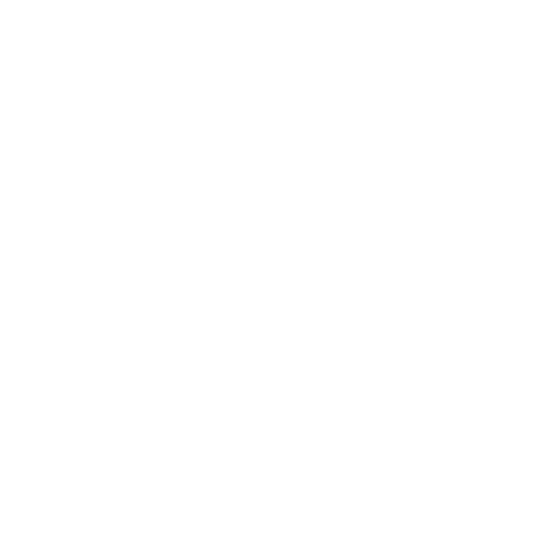 Камера Yuneec E90x 1