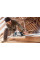 Шина направляюча для дискових пил Bosch Professional FSN 2100 довжина 2100мм