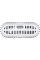 Портативний корпус D-Link DSP-411 для SSD M.2 NVMe USB Type-C 4.0