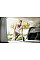 Комплект насадок щеток Karcher (WD 2-6 WD 7 SE 4-5) 2шт