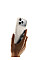 Чохол Belkin для iPhone 17 Pro, Magnetic Protective Grip, Sand