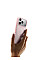 Чохол Belkin для iPhone 17 Pro, Magnetic Protective Grip, Pink