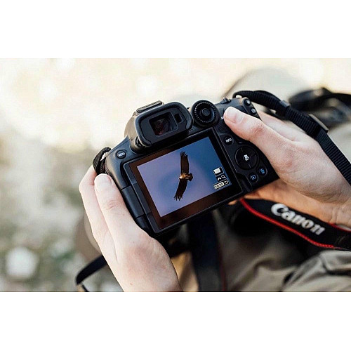 Цифр. фотокамера Canon EOS R7 body