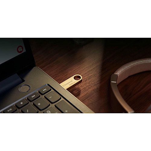 Накопитель Kingston 256GB USB 3.2 Type-A Gen1 DT SE9 G3