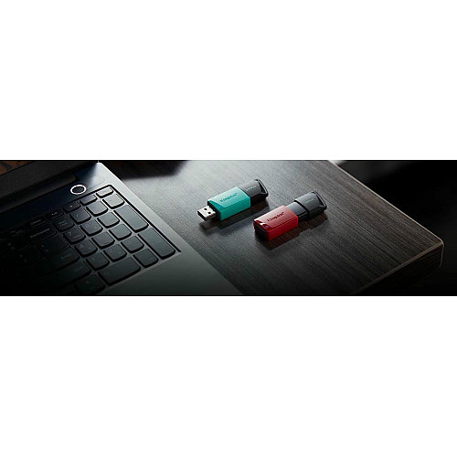 Накопичувач Kingston  256GB USB 3.2 Type-A Gen1 DT Exodia M