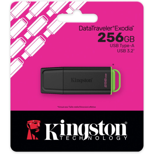 Накопичувач Kingston  256GB USB 3.2 Type-A Gen1 DT Exodia