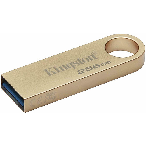 Накопитель Kingston 256GB USB 3.2 Type-A Gen1 DT SE9 G3