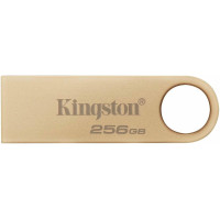 Накопитель Kingston 256GB USB 3.2 Type-A Gen1 DT SE9 G3