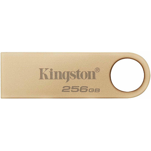 Накопитель Kingston 256GB USB 3.2 Type-A Gen1 DT SE9 G3