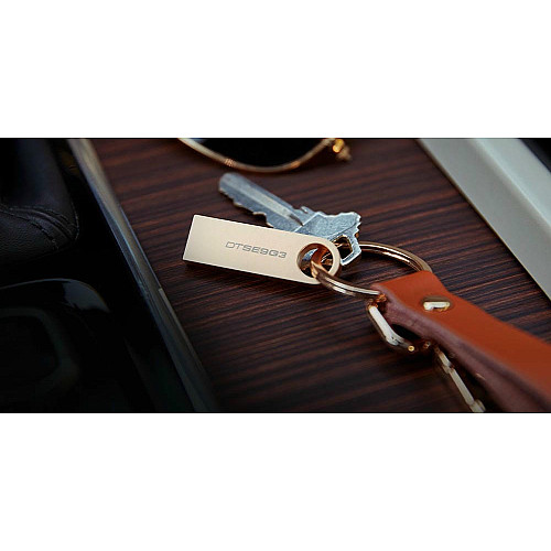 Накопитель Kingston 256GB USB 3.2 Type-A Gen1 DT SE9 G3