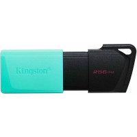 Накопичувач Kingston  256GB USB 3.2 Type-A Gen1 DT Exodia M