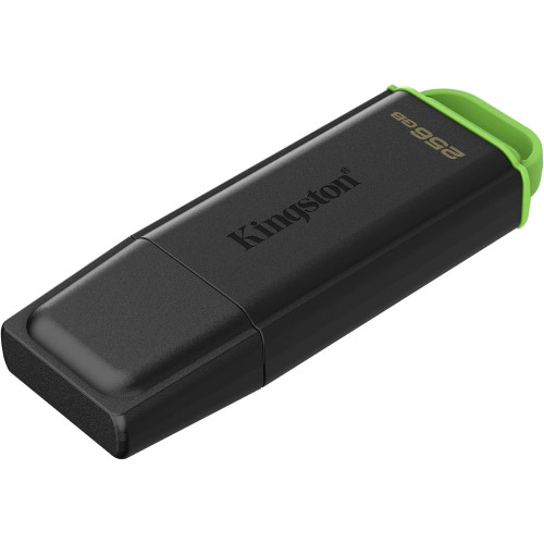 Накопичувач Kingston  256GB USB 3.2 Type-A Gen1 DT Exodia