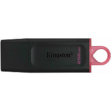 Накопичувач Kingston  256GB USB 3.2 Type-A Gen1 DT Exodia