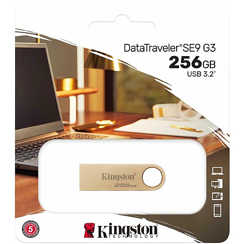 Накопитель Kingston 256GB USB 3.2 Type-A Gen1 DT SE9 G3
