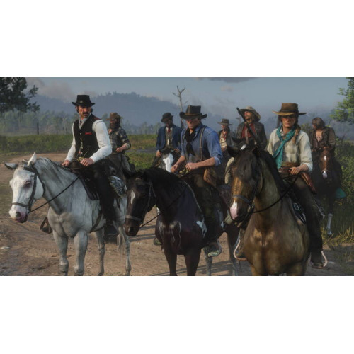 Гра консольна PS4 Red Dead Redemption 2, BD диск