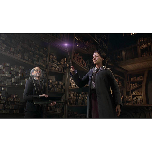 Гра консольна PS4 Hogwarts Legacy. Deluxe Edition, BD диск