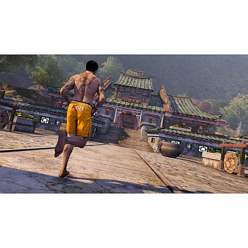 Игра консольная PS4 Sleeping Dogs Definitive Edition, BD диск