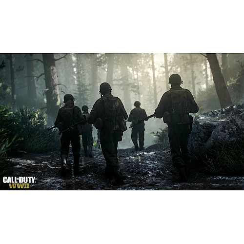 Игра консольная PS4 Call of Duty WWII, BD диск
