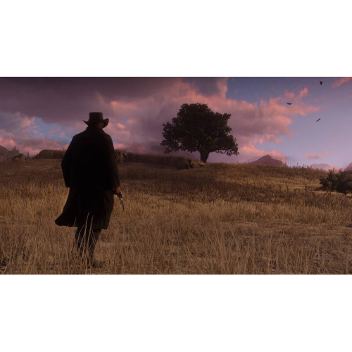 Гра консольна PS4 Red Dead Redemption 2, BD диск