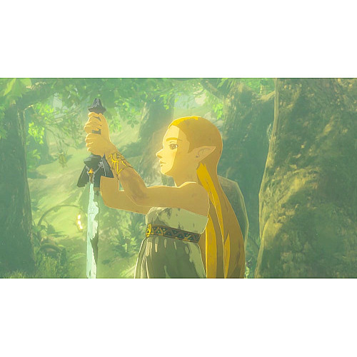 Игра консольная Switch 2 Legend of Zelda: Breath of the Wild, картридж