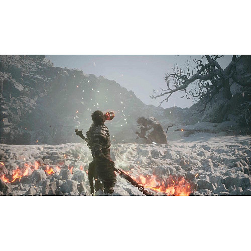 Гра консольна PS5 Black Myth: Wukong, BD диск