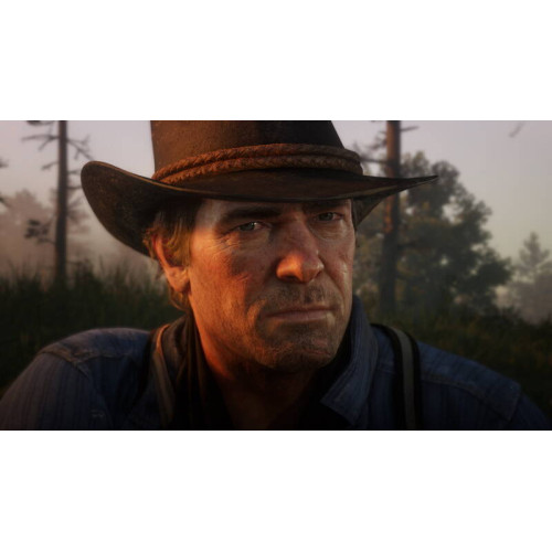 Гра консольна PS4 Red Dead Redemption 2, BD диск