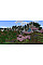 Гра консольна PS5 Minecraft, BD диск