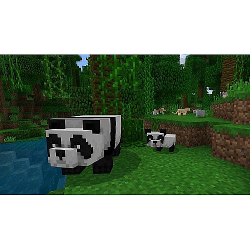 Гра консольна PS4 Minecraft, BD диск