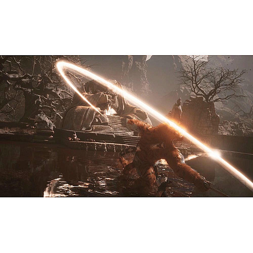 Гра консольна PS5 Black Myth: Wukong, BD диск