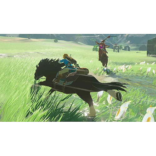 Игра консольная Switch The Legend of Zelda: Breath of the Wild, картридж