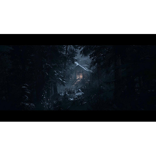 Игра консольная PS5 UNTIL DAWN, BD диск