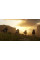 Гра консольна PS4 Red Dead Redemption 2, BD диск