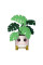 Фігурка Funko POP Home: Kawaii Monstera Plant