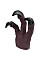 Игровой набор Same Toy Raptor hand claw коричневый