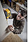 Рулетка DeWALT COMPACT, 5мх28мм, с фиксатором сматывания, АБС-пластик, магнит