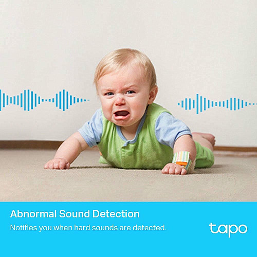 IP-Камера TP-LINK Tapo C225 3MP N300 microSD motion detection 360° mic