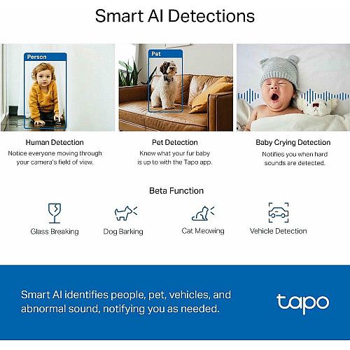 IP-камера TP-LINK Tapo C220 4MP N300 microSD motion detection
