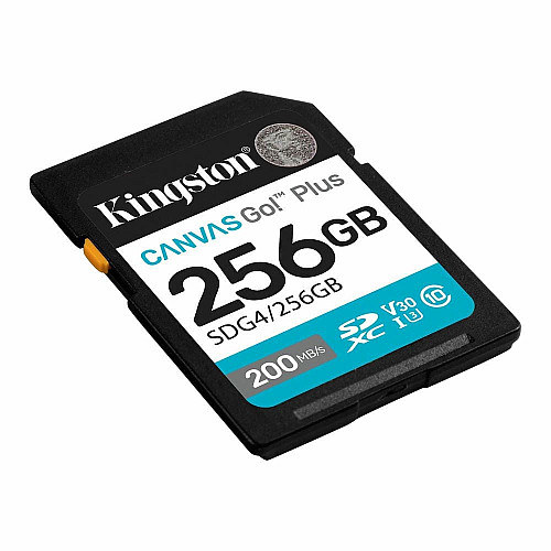 Карта пам'яті Kingston SD  256GB C10 UHS-I U3 V30 R200/W160MB/s