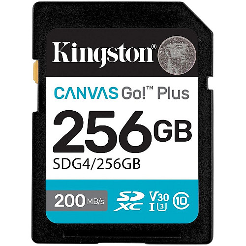Карта пам'яті Kingston SD  256GB C10 UHS-I U3 V30 R200/W160MB/s
