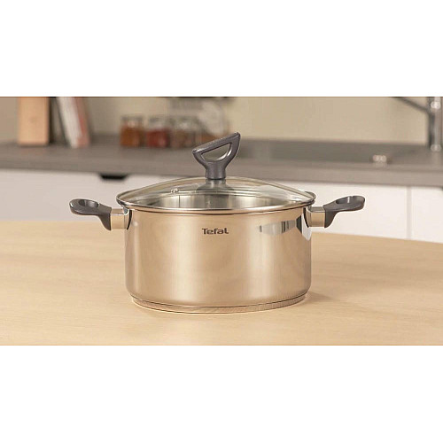 Каструля Tefal Daily Cook з кришкою, 24см, нержавіюча сталь, алюміній, бакеліт