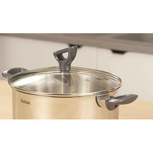 Каструля Tefal Daily Cook з кришкою, 24см, нержавіюча сталь, алюміній, бакеліт