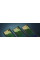 Клавіатура механічна Razer BlackWidow V4 Low-profile HyperSpeed, 104key, Green Switch, USB-A/WL/BT, EN, RGB, чорний