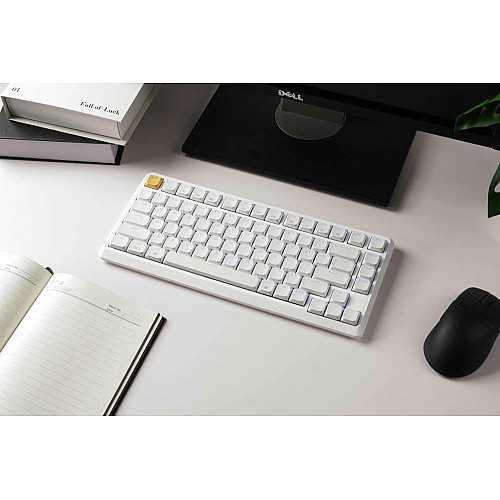 Клавиатура механическая Keychron J1 82Key, K pro Brown, WL/BT/USB-A, QMK, Hot-swap, EN/UKR, RGB, белый