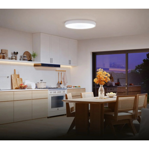 Потолочний світильник Govee 38cm Smart Ceiling Light Pro, RGBICWW, WI-FI/Bluetooth, білий