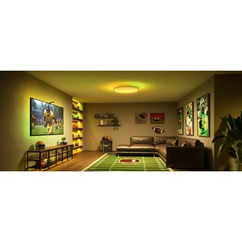 Потолочний світильник Govee 38cm Smart Ceiling Light Pro, RGBICWW, WI-FI/Bluetooth, білий