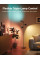 Торшер розумний Govee H60B2 Tree Floor Lamp, 1500Lm, RGBWWIC, WI-FI/Bluetooth, чорний