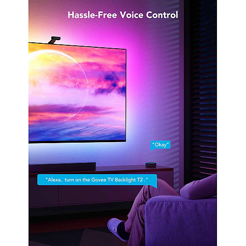 Набір адаптивного підсвічування Govee H605C Envisual TV Backlight T2 with Dual Cameras 55-65', RGBIC, WI-FI/Bluetooth, чорний