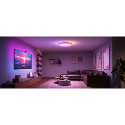 Потолочний світильник Govee 38cm Smart Ceiling Light Pro, RGBICWW, WI-FI/Bluetooth, білий