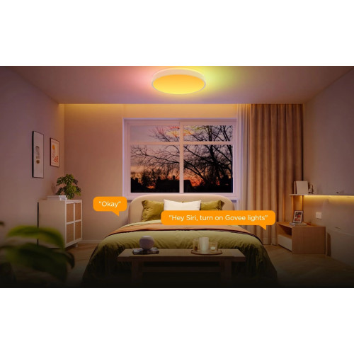 Потолочний світильник Govee 38cm Smart Ceiling Light Pro, RGBICWW, WI-FI/Bluetooth, білий