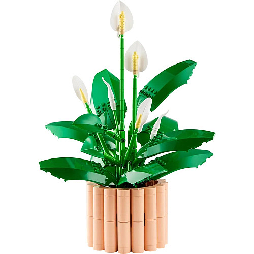 Конструктор LEGO Botanicals Спатифиллум